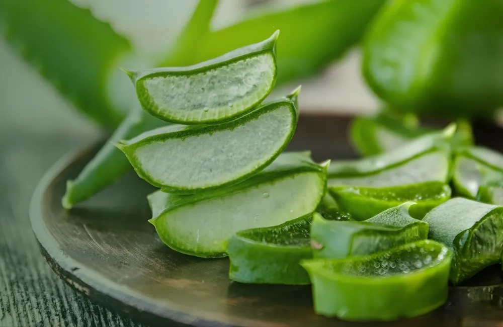 Cây giống dược liệu