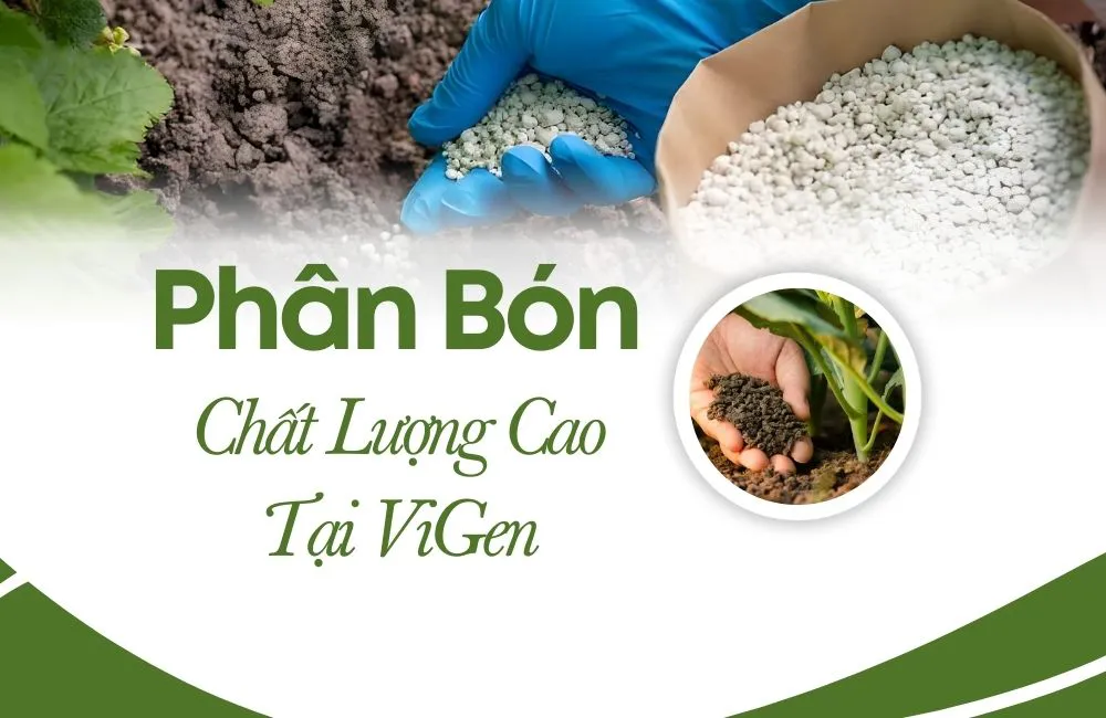 Phân bón