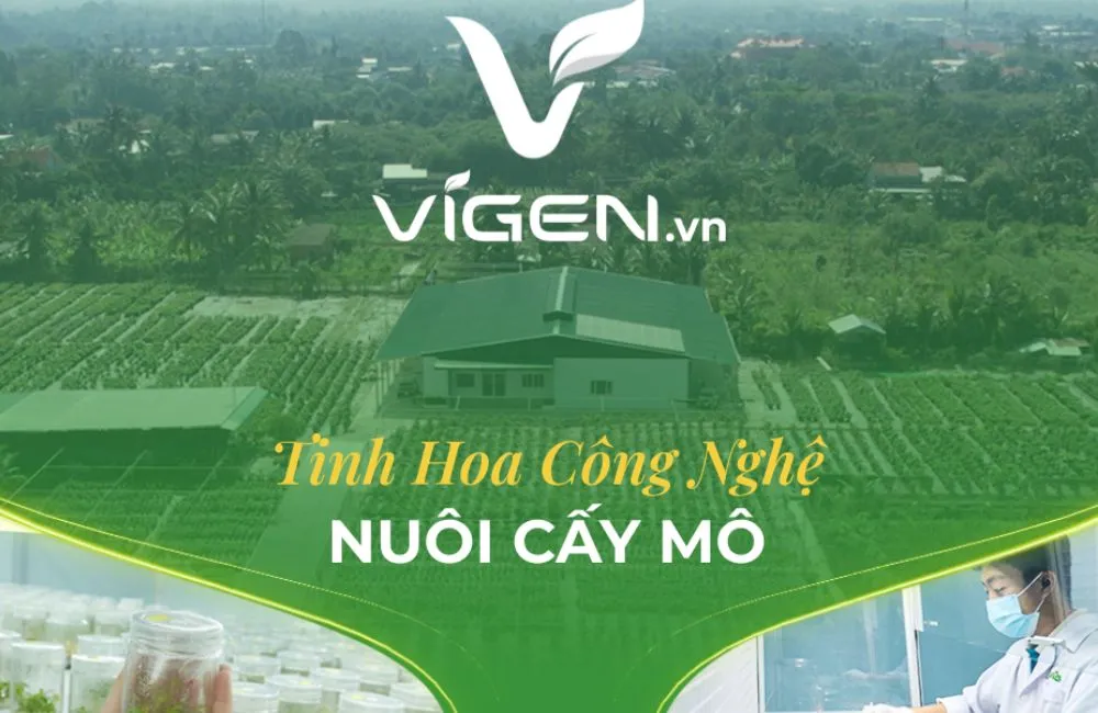 Vật tư nông nghiệp ViGen