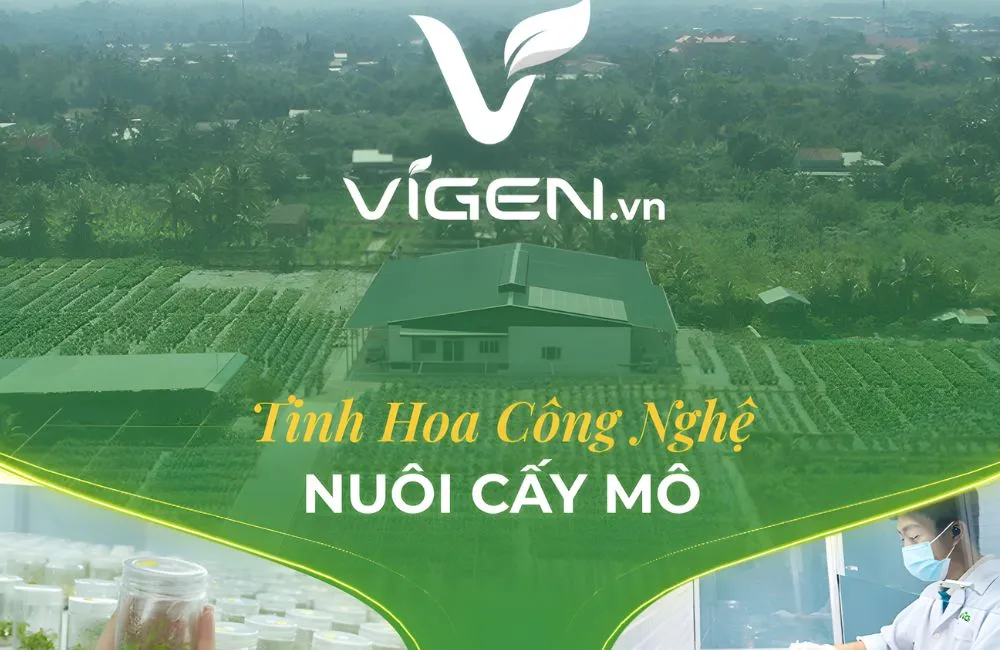 ViGen - Trung tâm cây giống uy tín