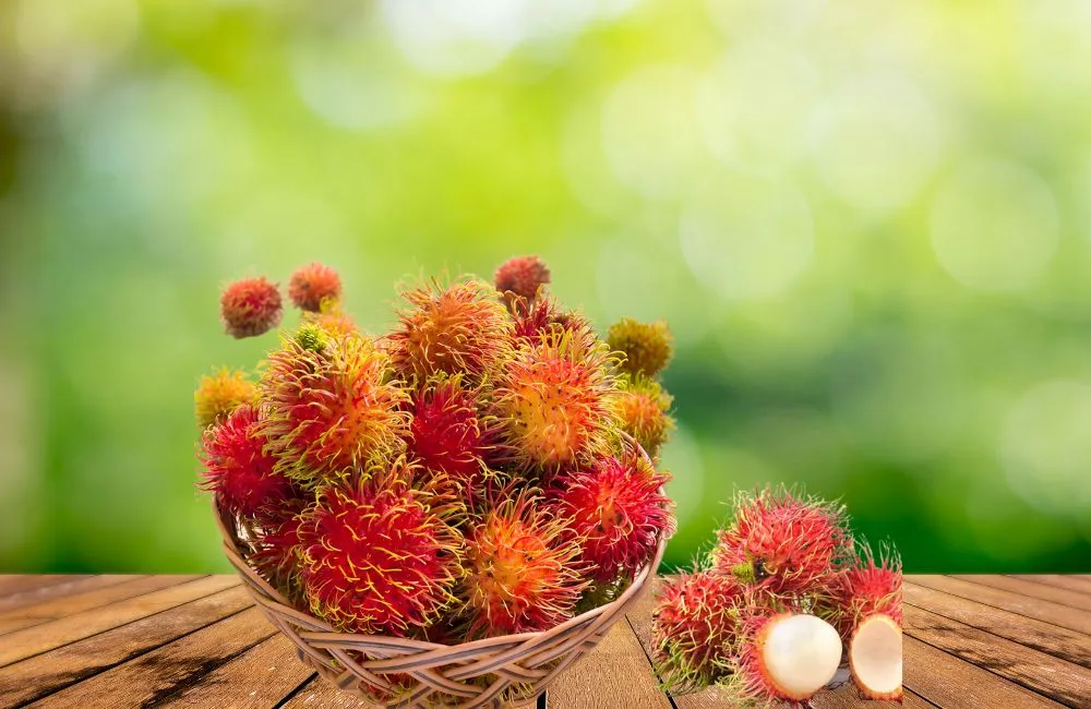 Quả chôm chôm Thái