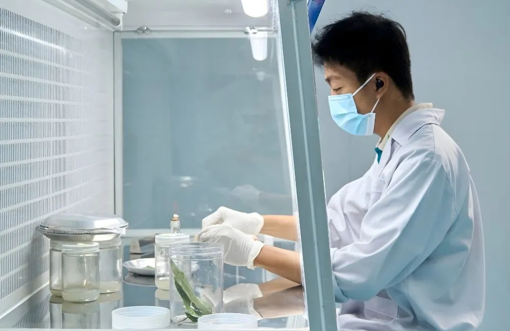 Điều kiện vô trùng và thao tác phòng lab