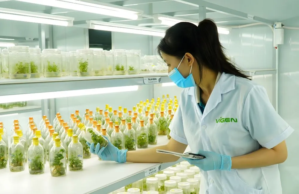 Kiểm soát chất lượng cây giống tại ViGen