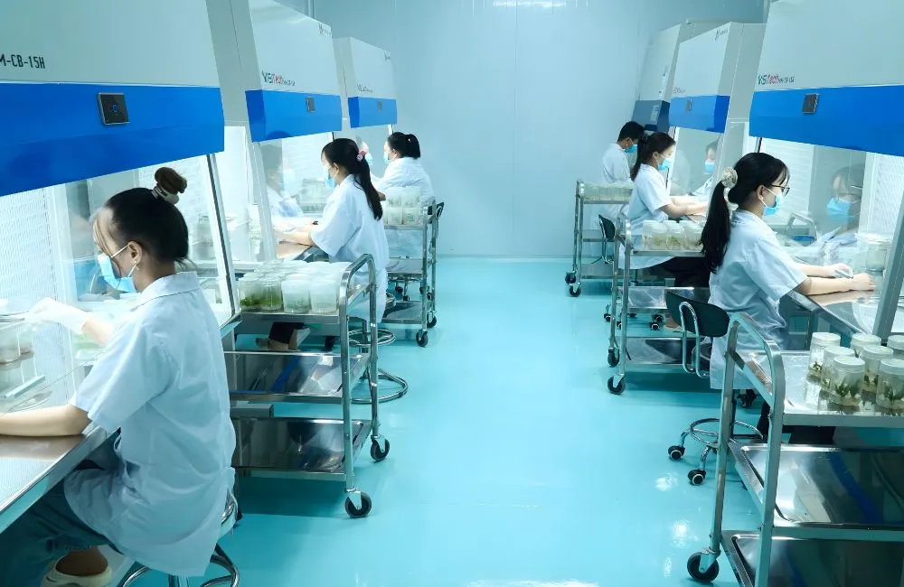 Phòng Lab trung tâm nuôi cấy mô ViGen 