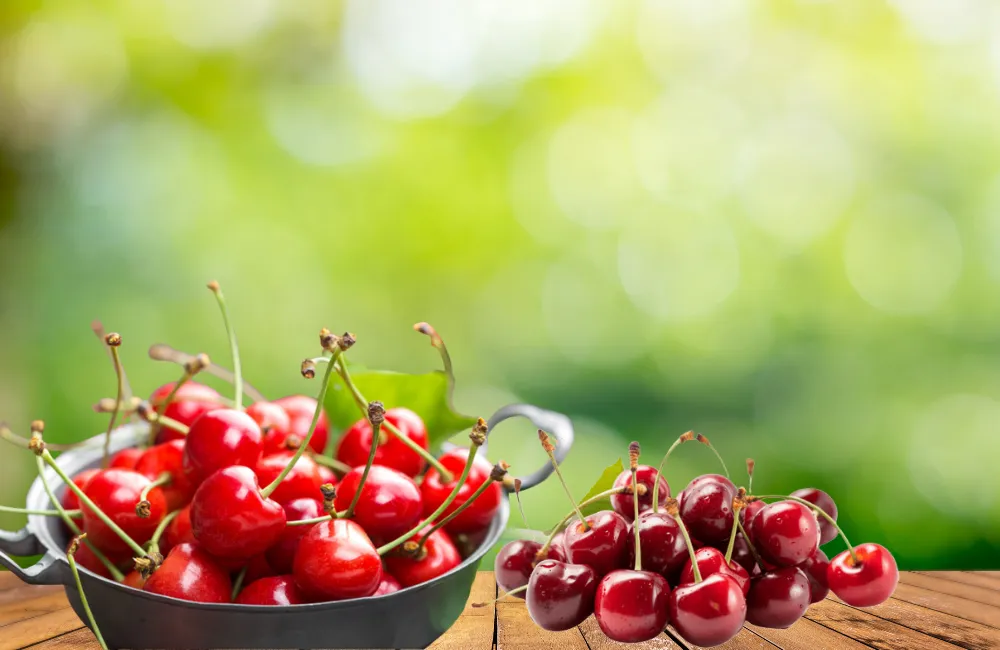 Hiệu quả kinh tế Cherry