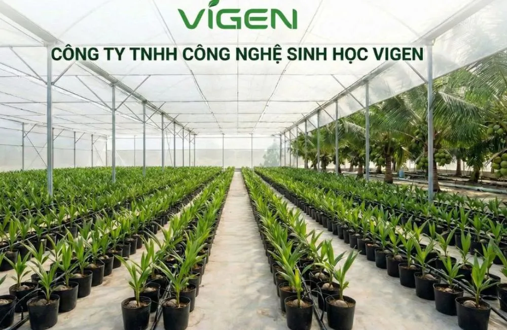 Dịch vụ nuôi cấy mô thực vật