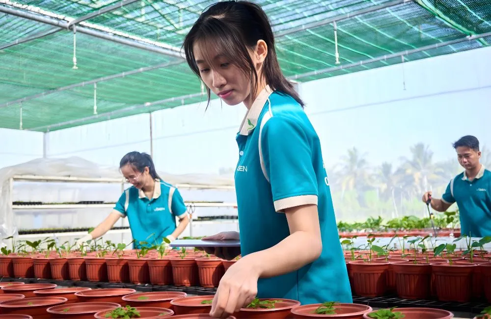 ViGen nhận gia công cây giống cấy mô 