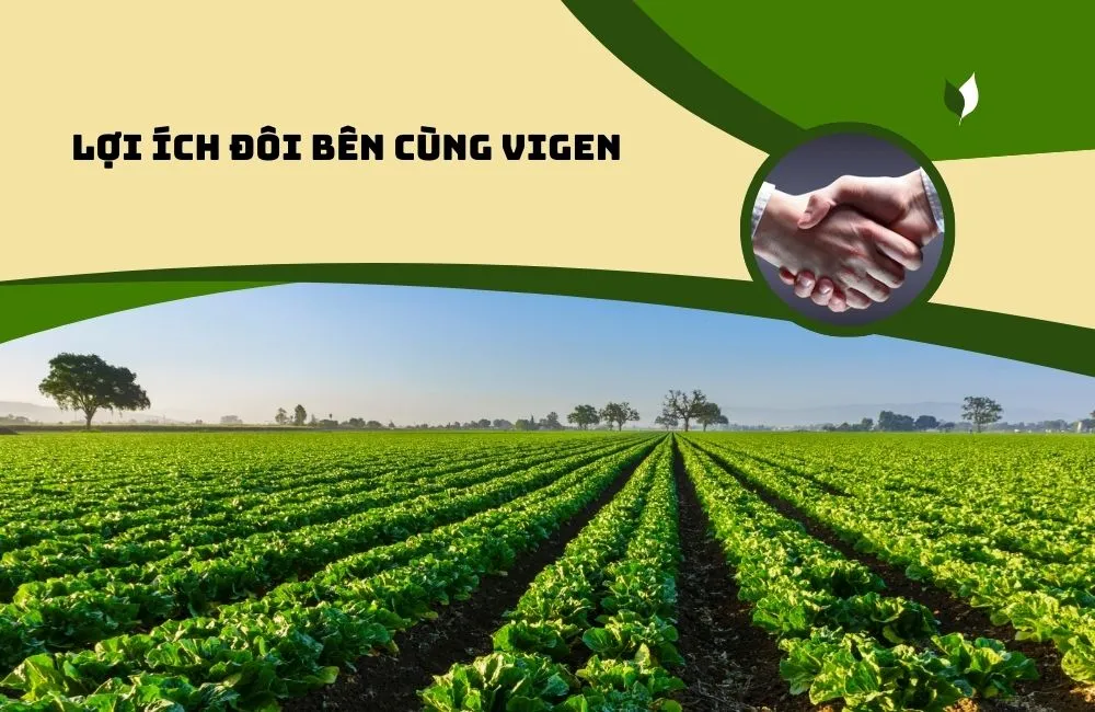 Lợi ích khi gia công cây giống tại ViGen