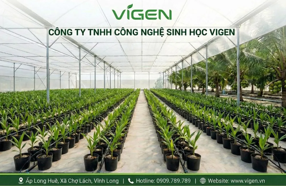Gia công cây giống tại ViGen
