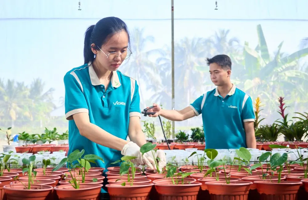 Hệ thống phòng lab nuôi cấy mô