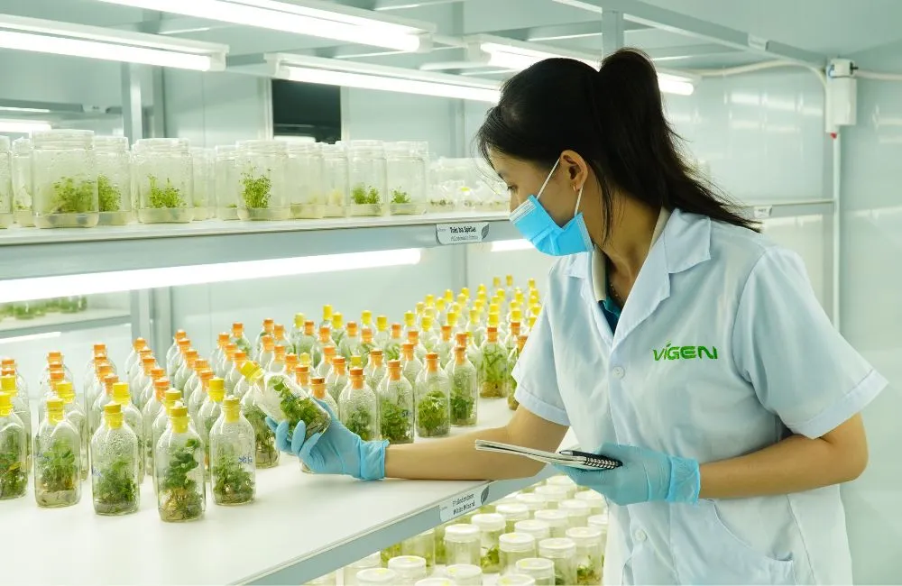 Hệ thống phòng lab nuôi cấy mô