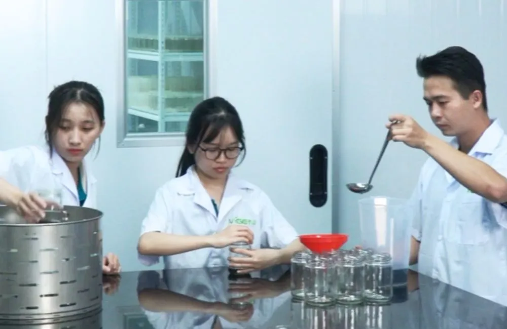 Hệ thống phòng lab nuôi cấy mô