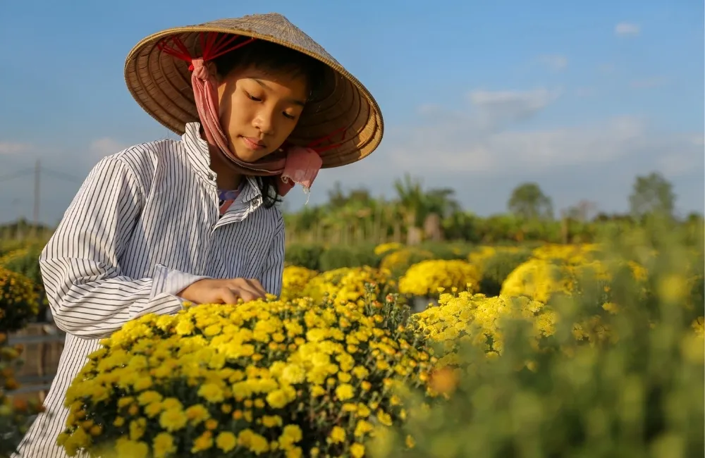 Kỹ thuật bấm ngọn – tạo tán tròn đều đẹp