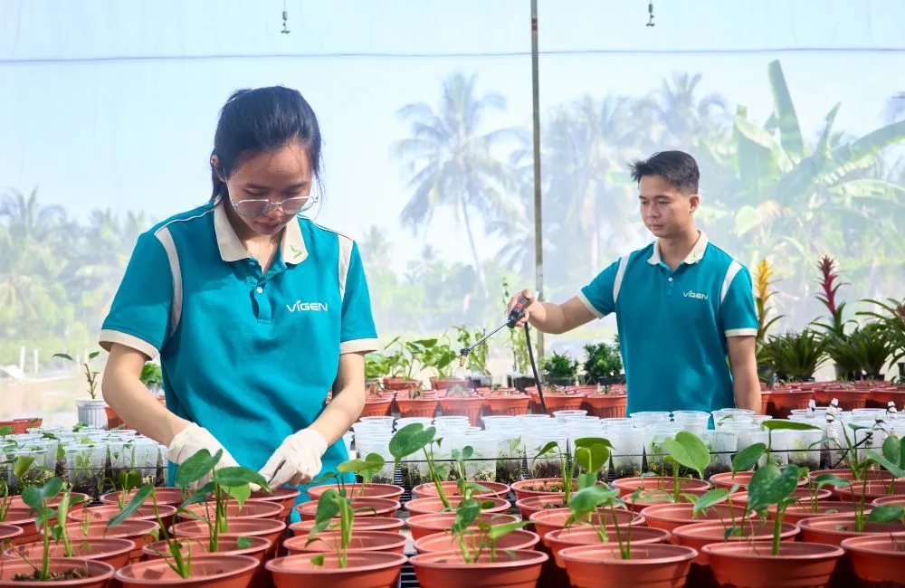 Tiêu chuẩn trung tâm nuôi cấy mô