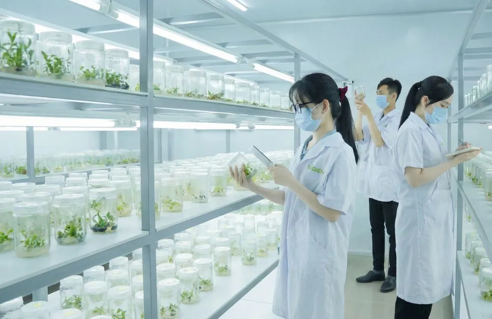 Tiêu chuẩn trung tâm nuôi cấy mô