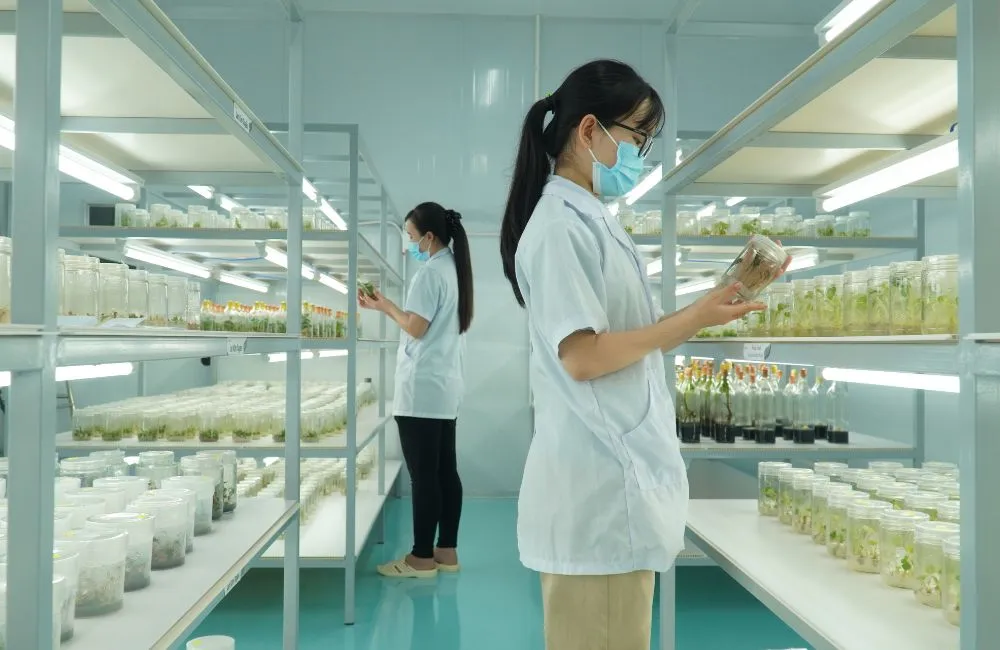 Tiêu chuẩn trung tâm nuôi cấy mô