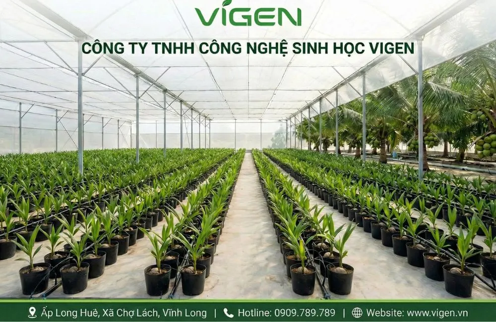 Trung tâm nuôi cấy mô thực vật 