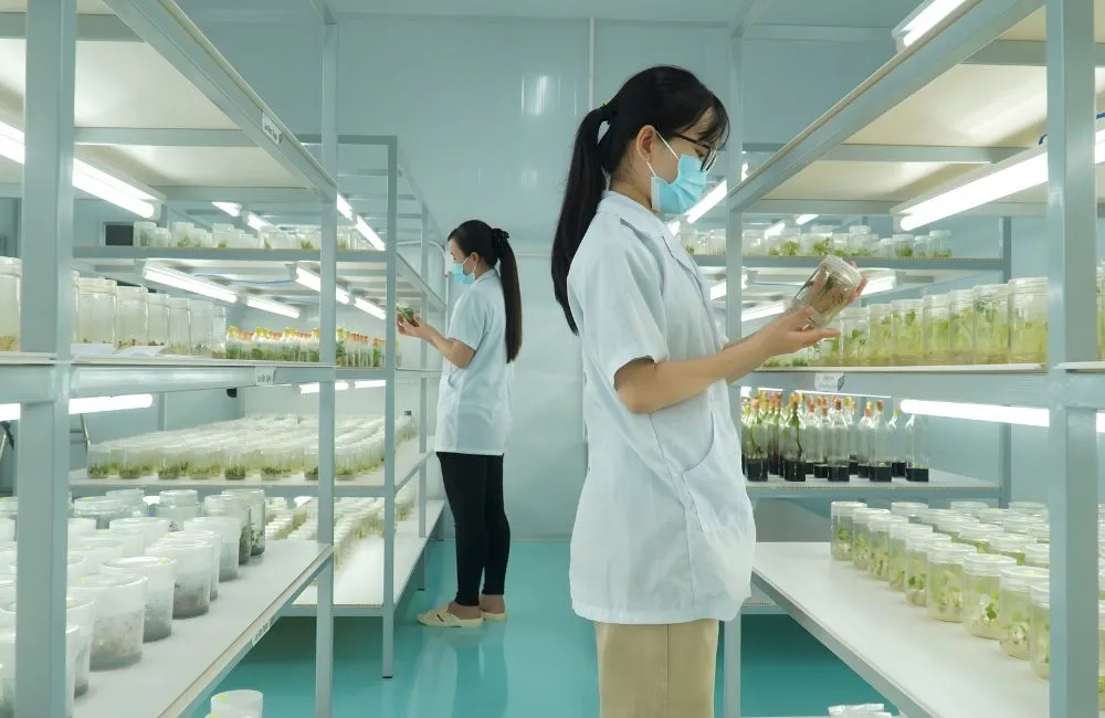 Trung tâm nuôi cấy mô thực vật 