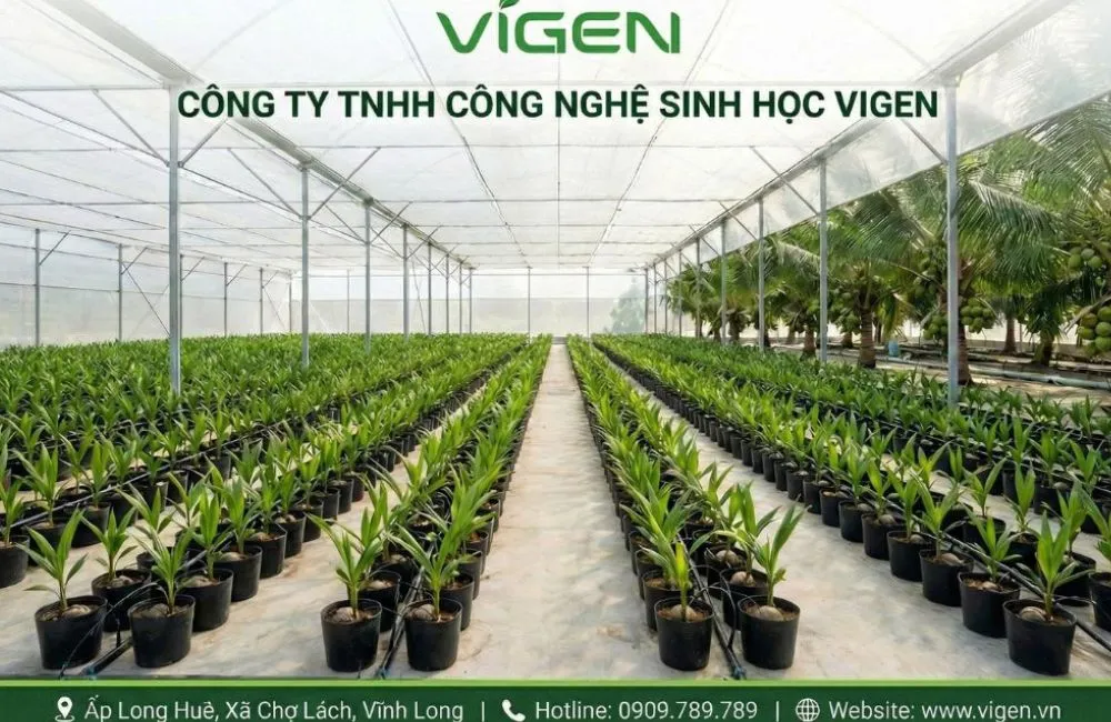 Trung tâm nuôi cấy mô ViGen