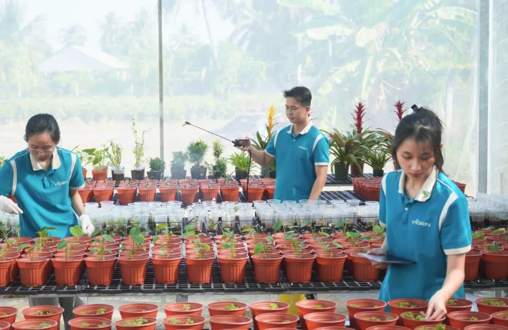 Trung tâm nuôi cấy mô ViGen