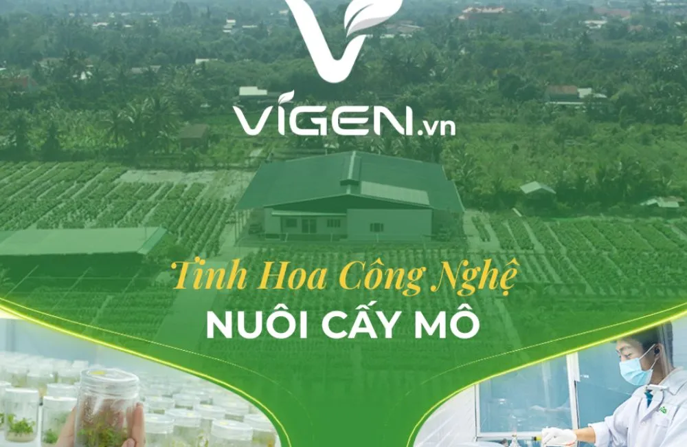 Trung tâm nuôi cấy mô ViGen