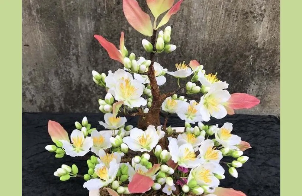 Bạch mai đọt hồng