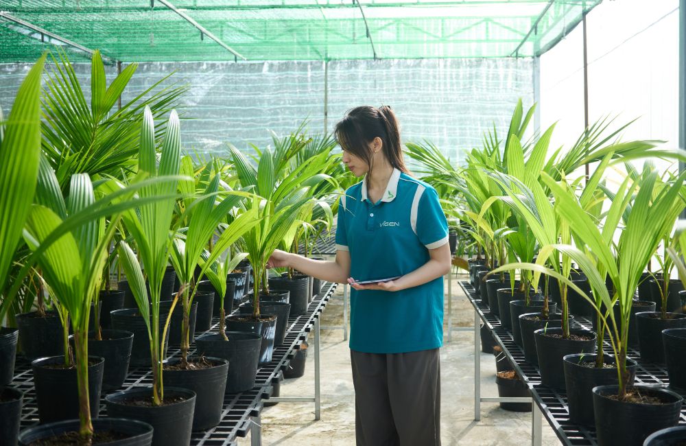 Chất lượng cây giống ViGen