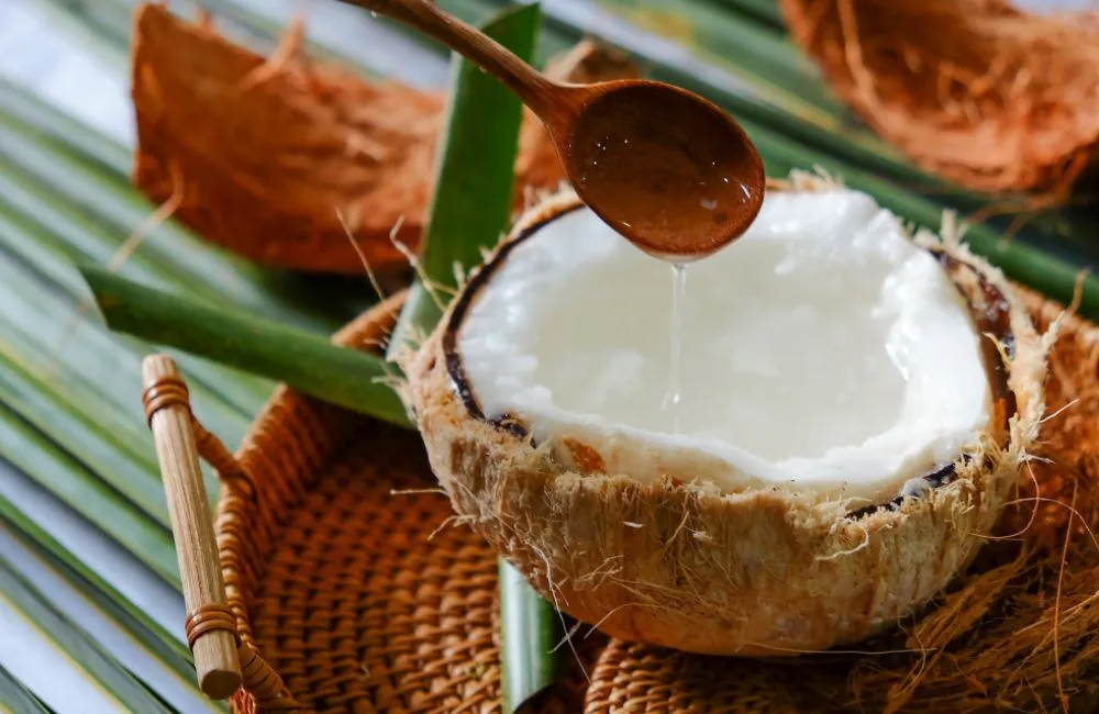 Dừa sáp cấy mô