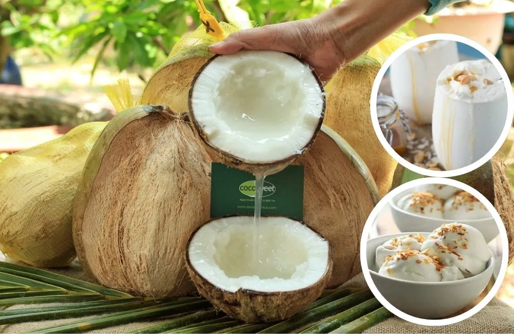 Ứng dụng dừa sáp 