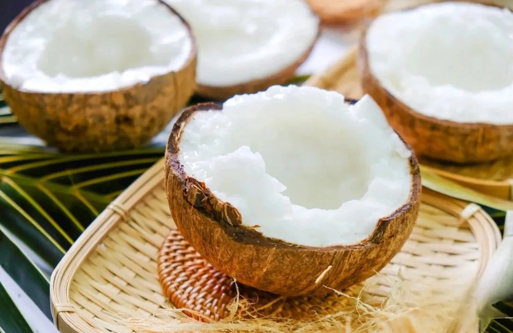 Dừa sáp cấy mô