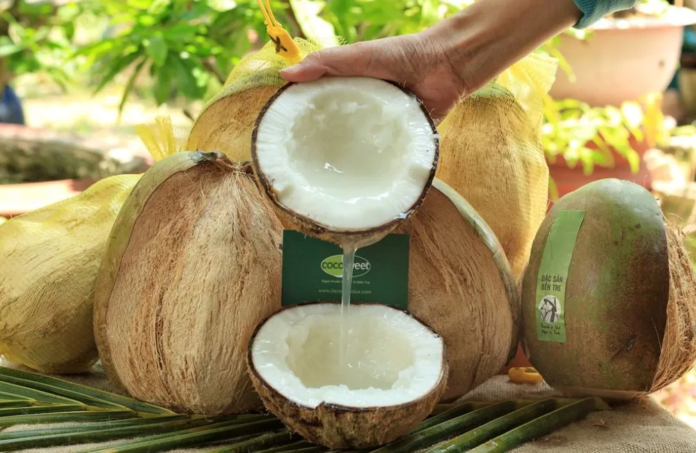 Giá trị kinh tế dừa sáp