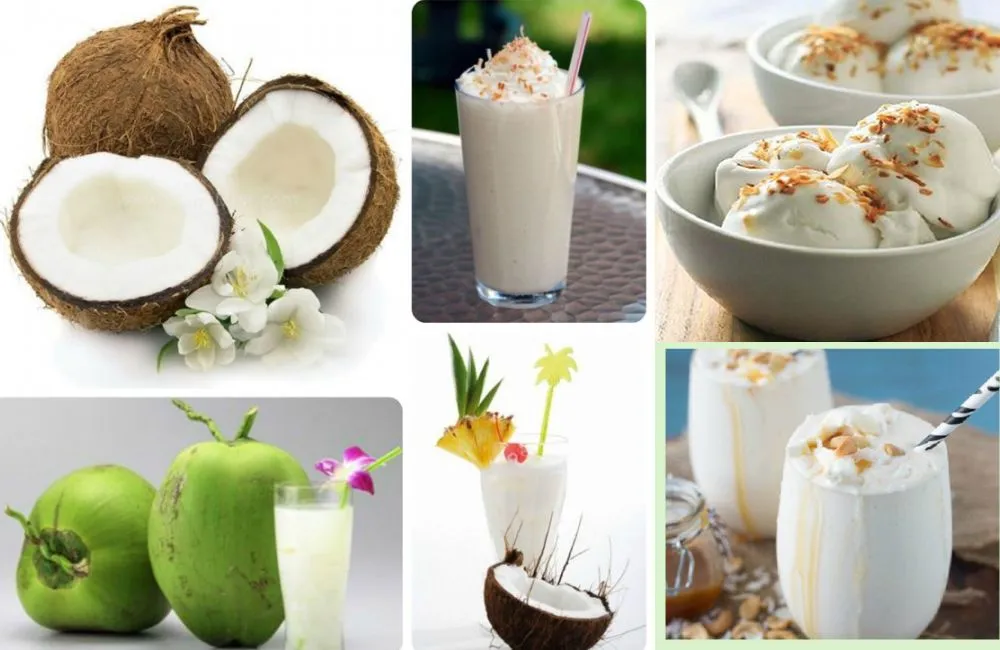 Giá trị kinh tế dừa sáp