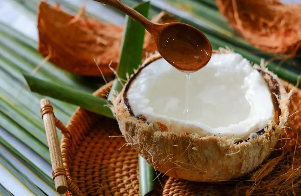 Giống dừa sáp cấy mô