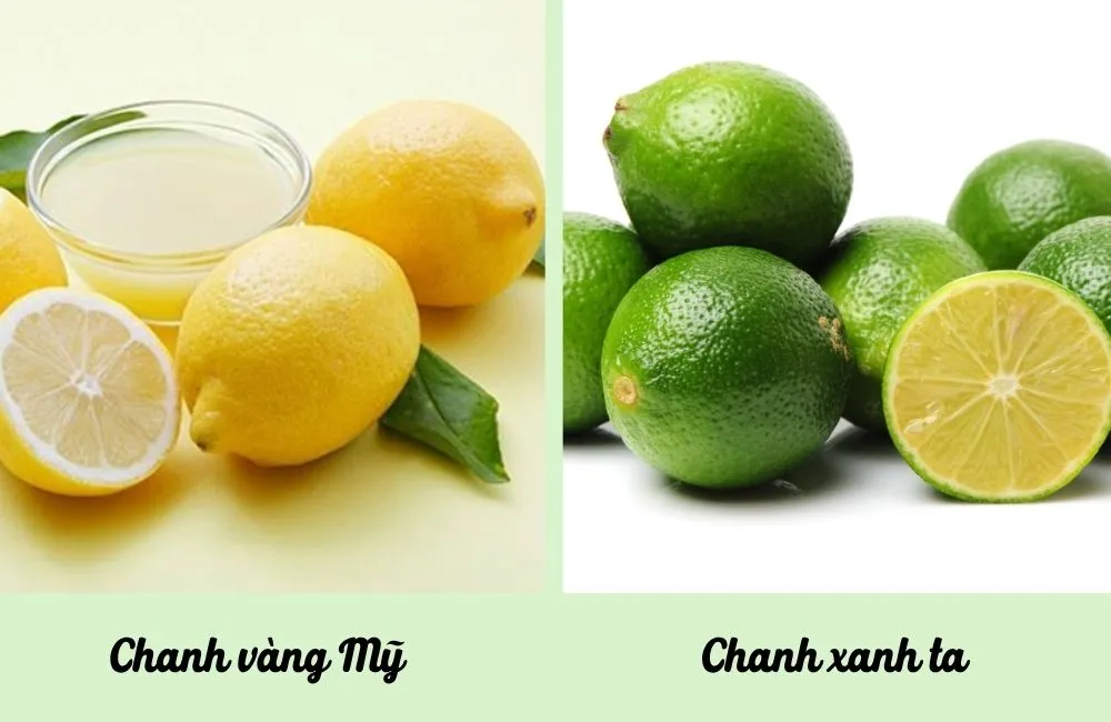 So sánh chanh vàng Mỹ