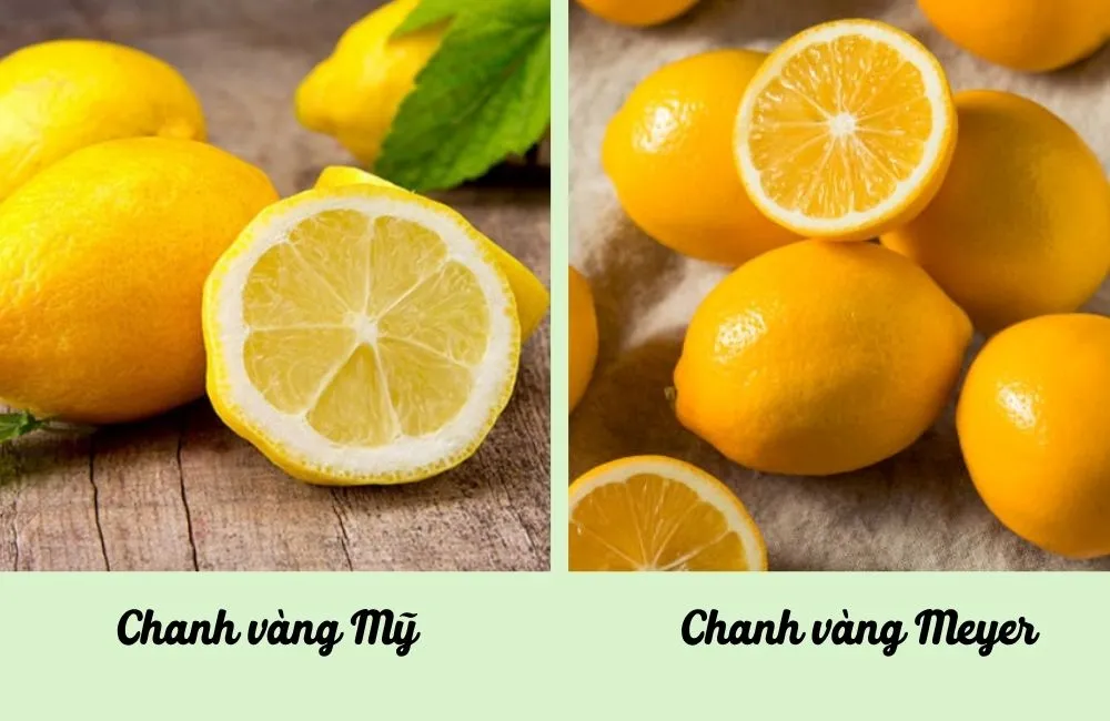 So sánh chanh vàng Mỹ