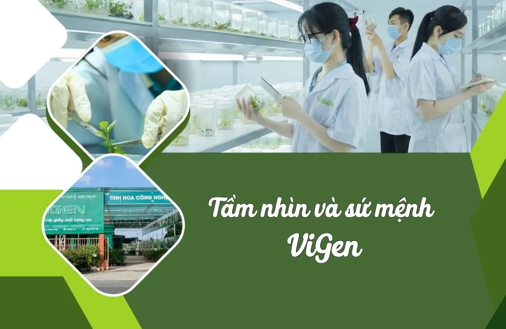 Tầm nhìn và sứ mệnh của ViGen