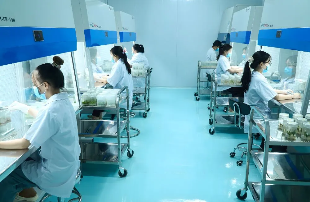 Tầm nhìn và sứ mệnh của ViGen
