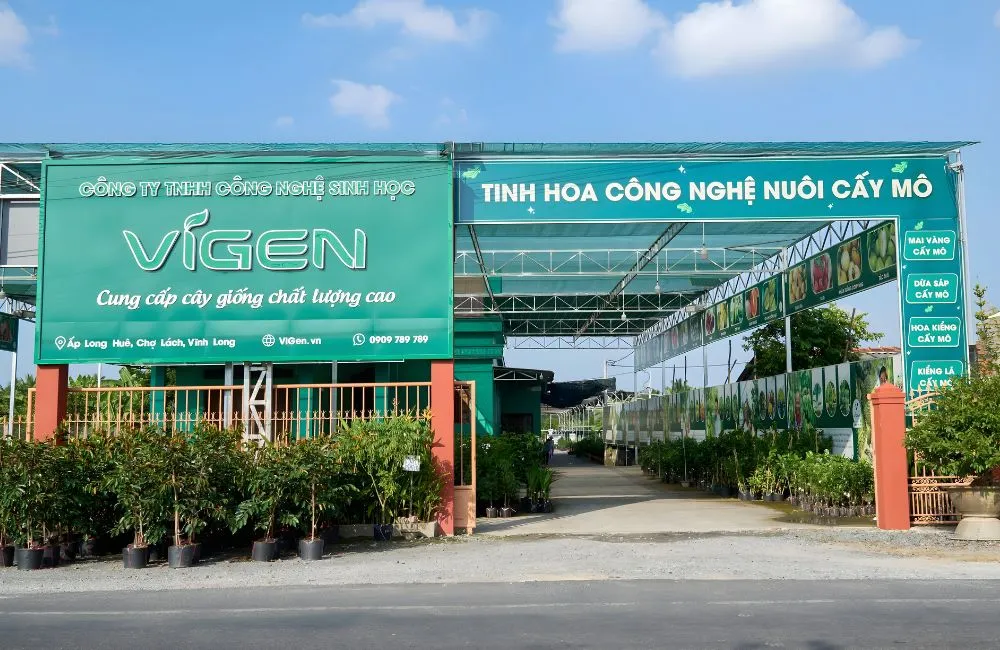 Tầm nhìn và sứ mệnh của ViGen