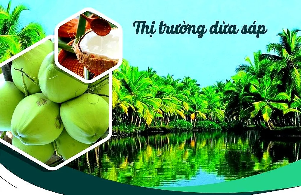 Thị trường dừa sáp