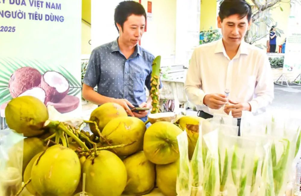 Thị trường dừa sáp