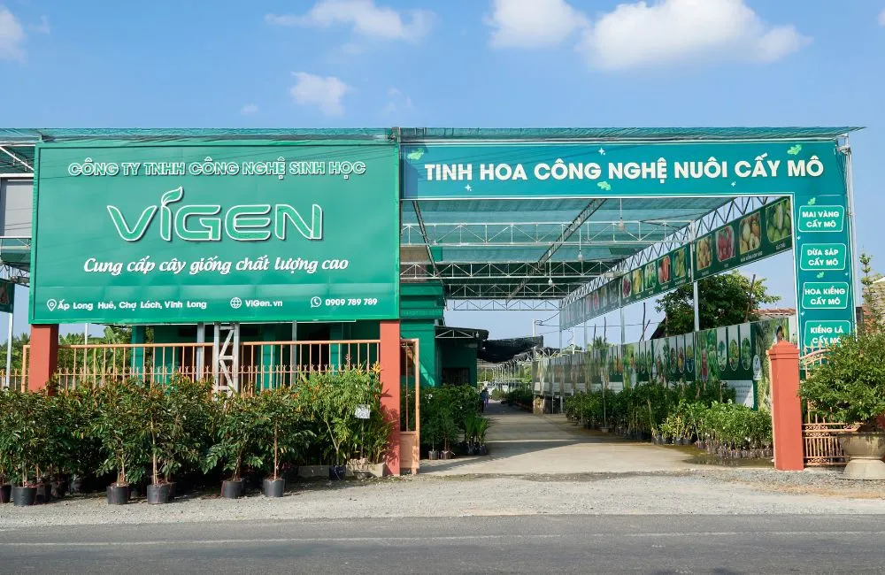 Đơn vị gia công cây giống cấy mô