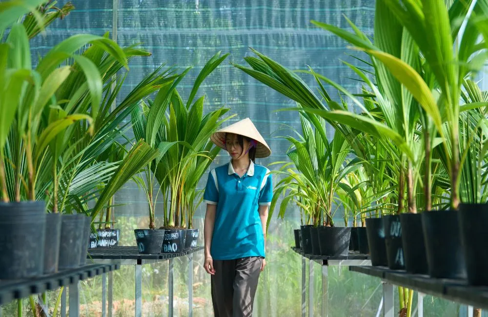 Năng lực cung ứng cây giống ViGen
