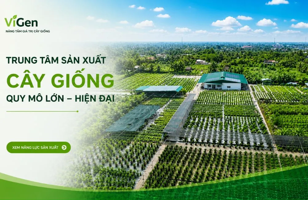 Trung tâm cây giống cấy mô