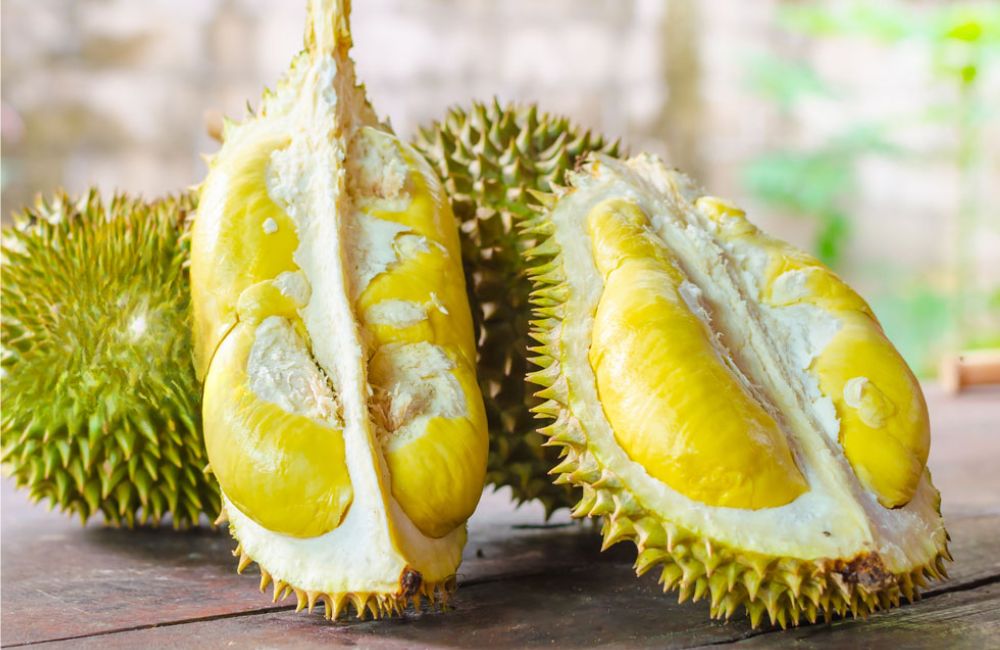 sầu riêng cấy mô