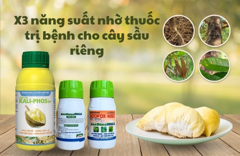 Hướng dẫn chọn thuốc trị bệnh cho cây sầu riêng đúng cách