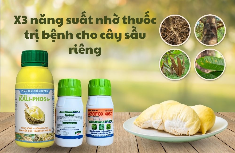thuốc trị bệnh cho cây sầu riêng