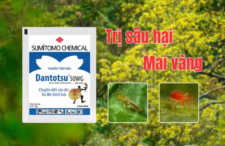 Thuốc trừ sâu cho mai vàng