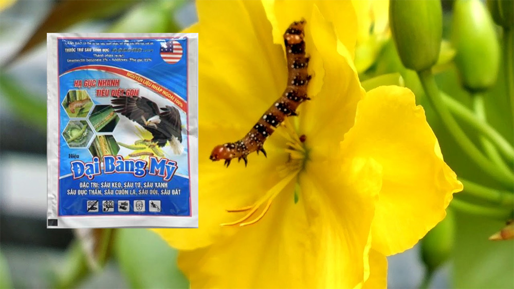 Chọn đúng loại thuốc, điều trị kịp thời giúp giảm tác hại lên đến 80–90%