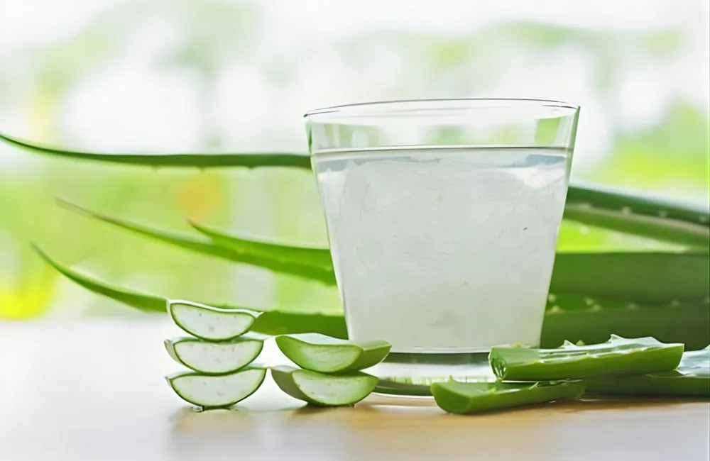 Nha Đam Thái Cấy Mô