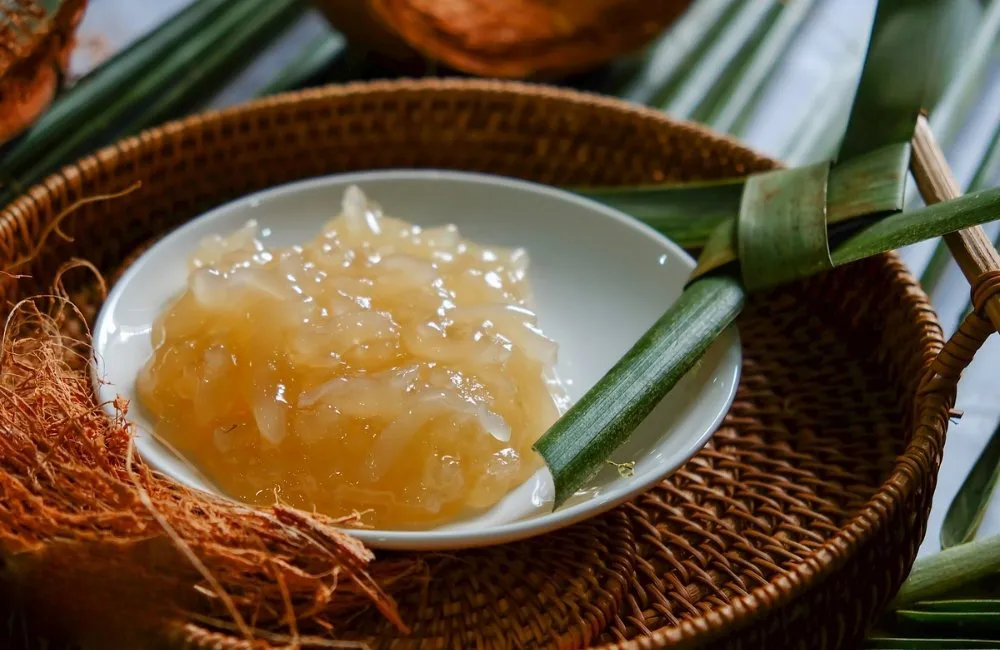 Dụng cụ thí nghiệm trong quy trình nuôi cấy mô cây giống dừa sáp f1